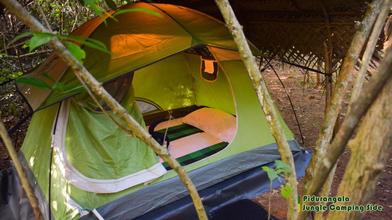Отель Sigiri Jungle Camping Сигирия Экстерьер фото