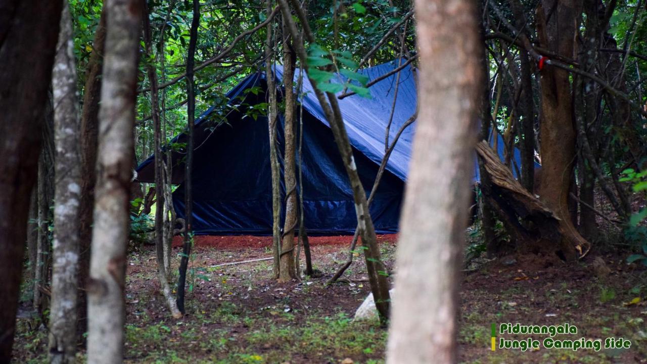 Отель Sigiri Jungle Camping Сигирия Экстерьер фото